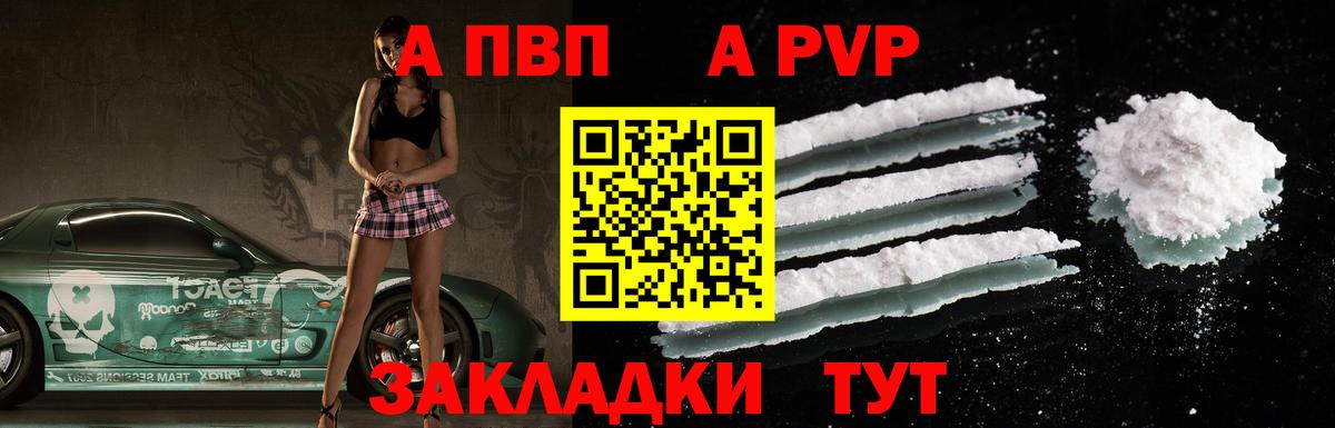 A PVP СК Елец