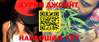 сатива Жуковский