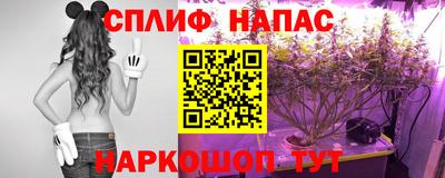 сатива Жуковский