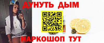 сатива Жуковский
