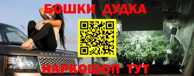 сатива Жуковский