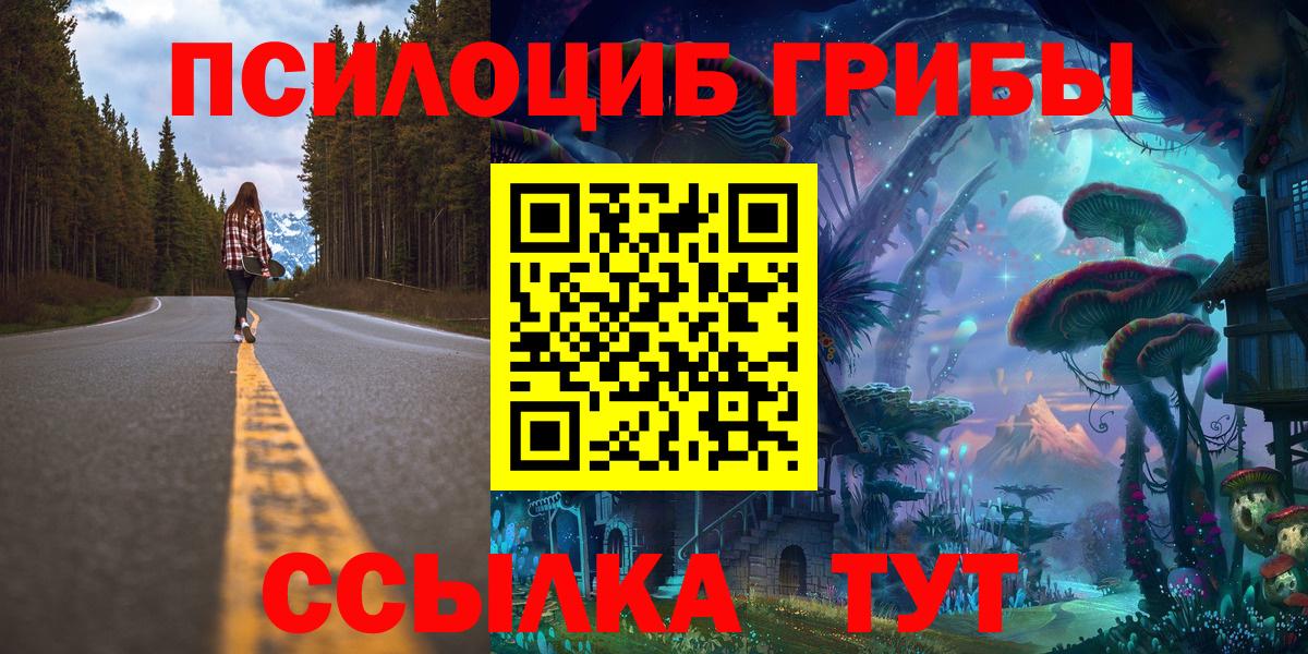 Псилоцибиновые грибы Psilocybine cubensis Елец