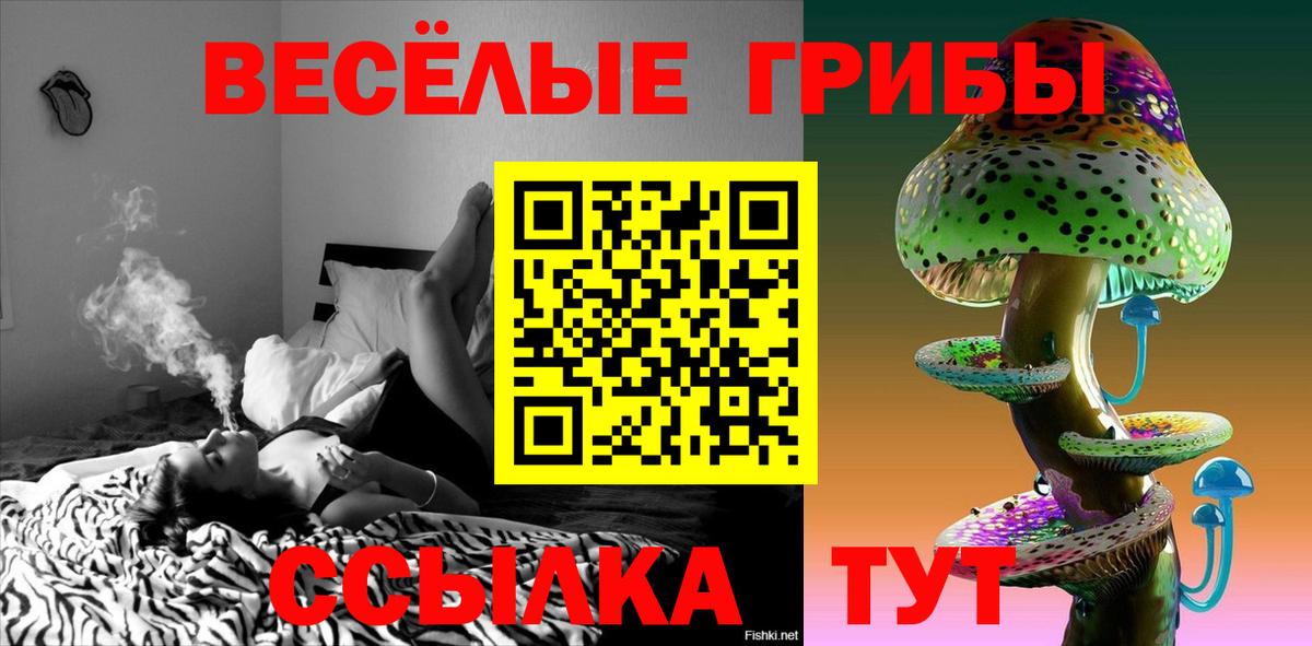 Елец  Псилоцибиновые грибы ЛСД  Вход с VPN 