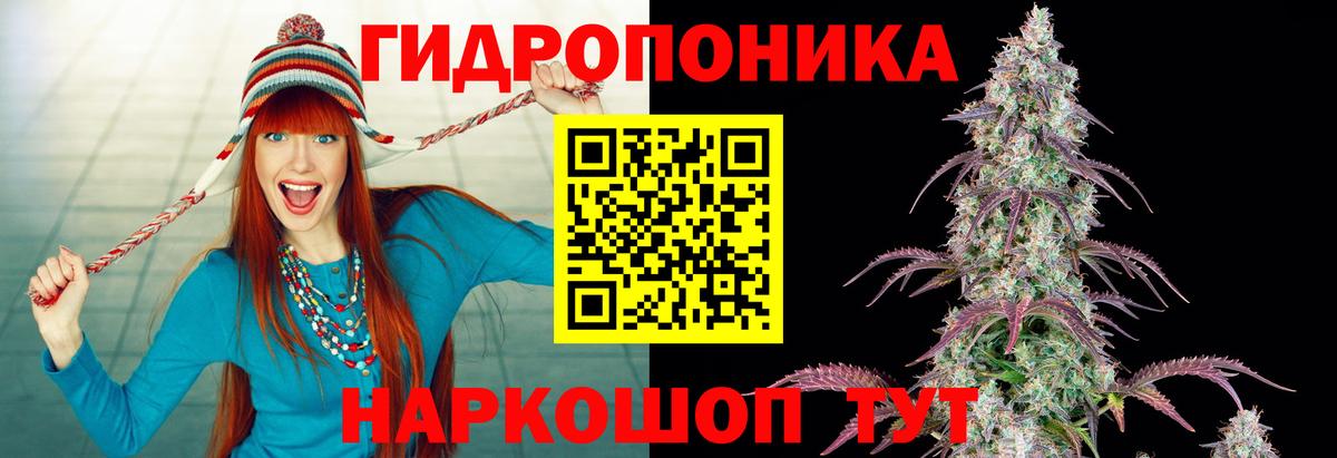 Бошки Шишки конопля  Каннабис тримм  Марихуана Amnesia  Елец  Вход с VPN  Шишки марихуана сатива 